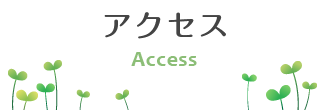 アクセス